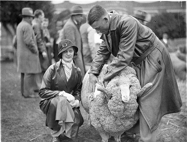 Know Your Fiber: Merino Wool
