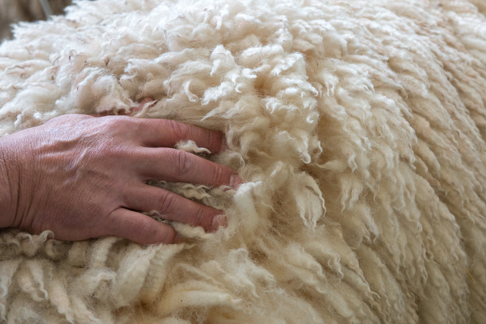 Hedgehog Flax/Hemp Blanket