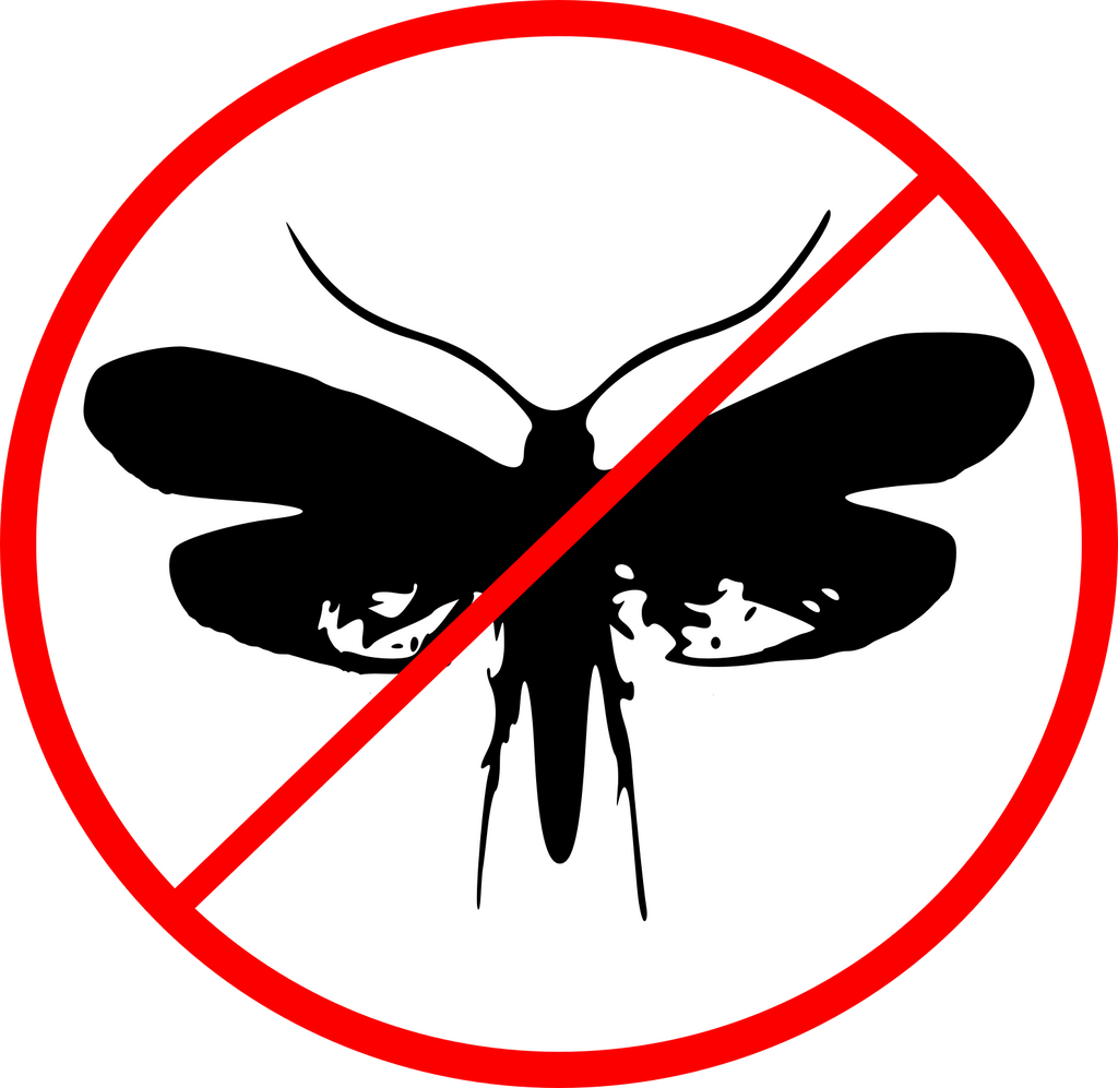 Zero In All-In-One Clothes Moth Killer Kit. Prevent Reinfestations. Kill  Moths, Eggs & Larvae