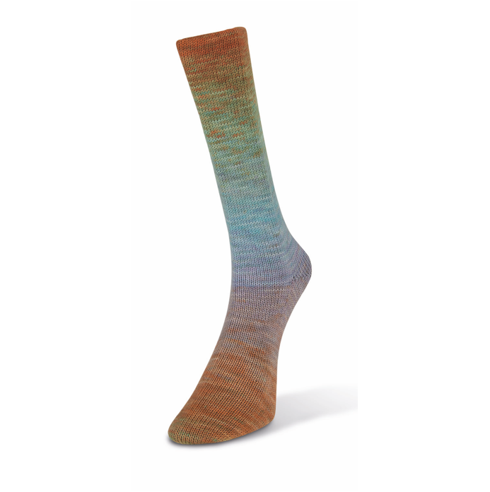 Laines du Nord Watercolor Sock
