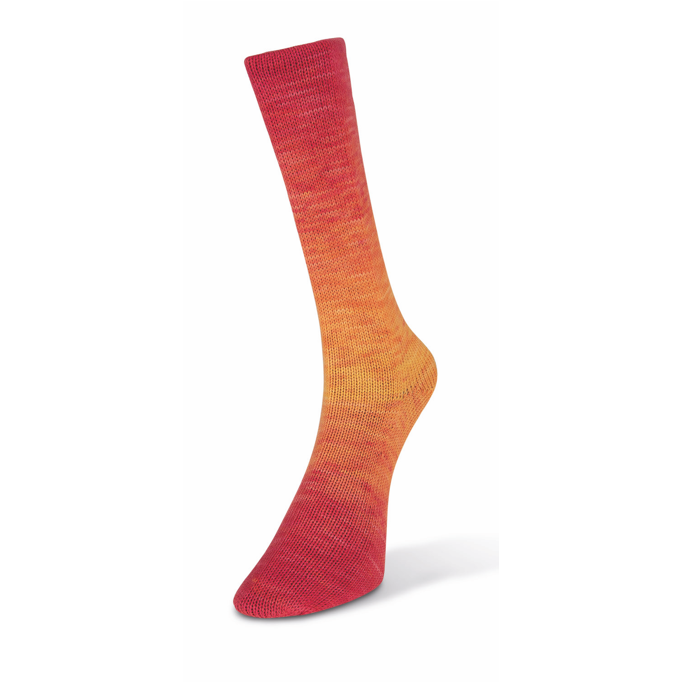 Laines du Nord Watercolor Sock