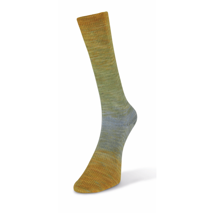 Laines du Nord Watercolor Sock