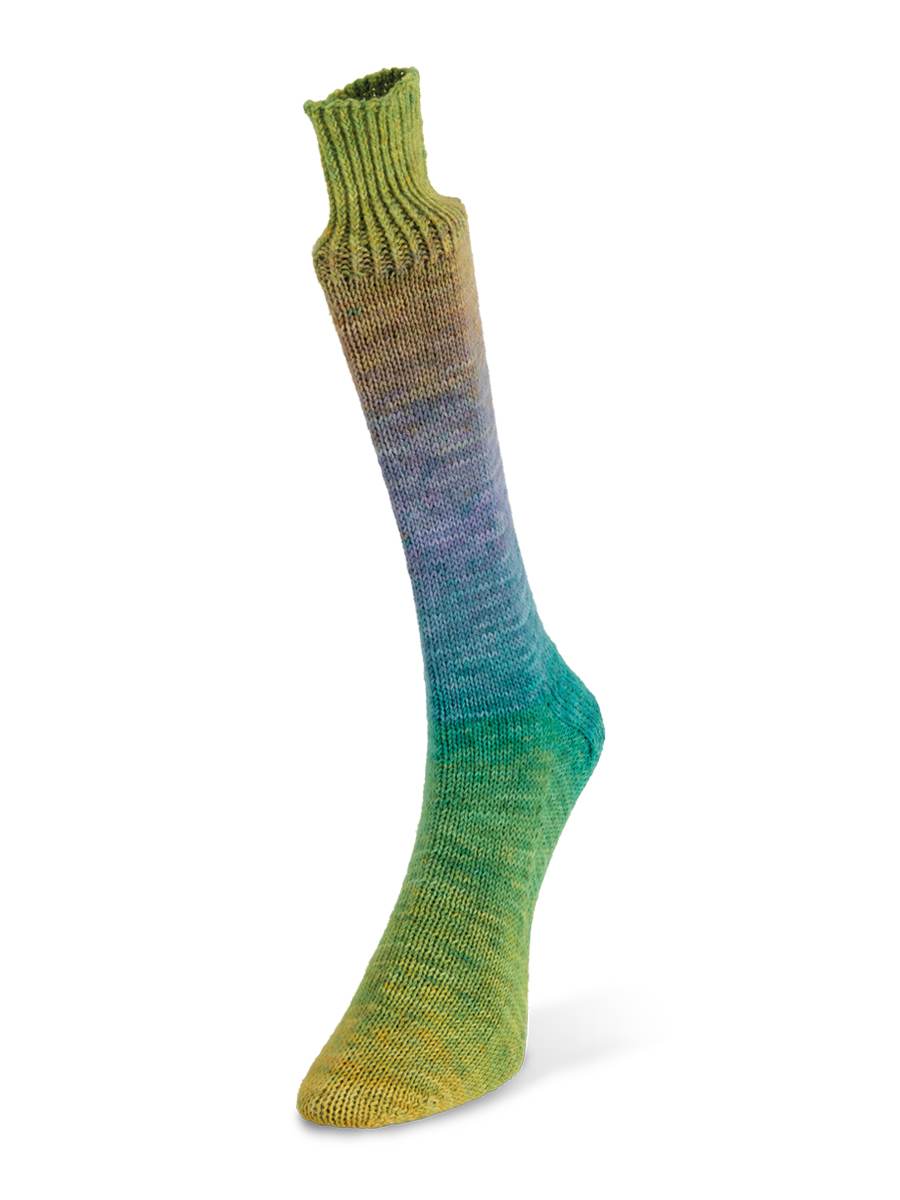Laines du Nord Watercolor Sock