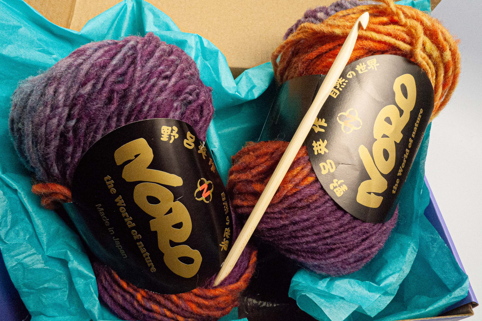 Beginning Crochet Kit - Super Simple Crochet Hat