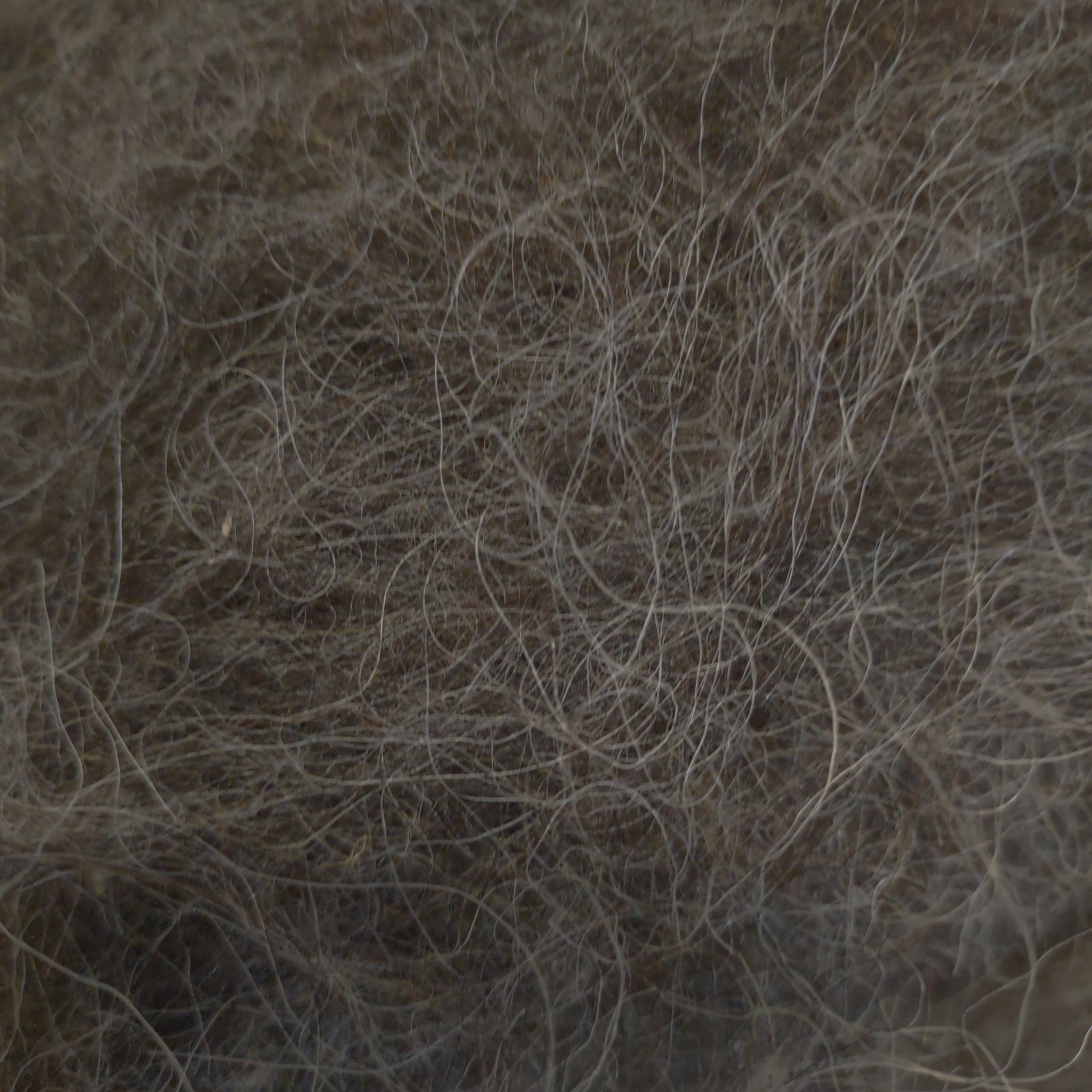 Carpathian Mountain Sheep Batts