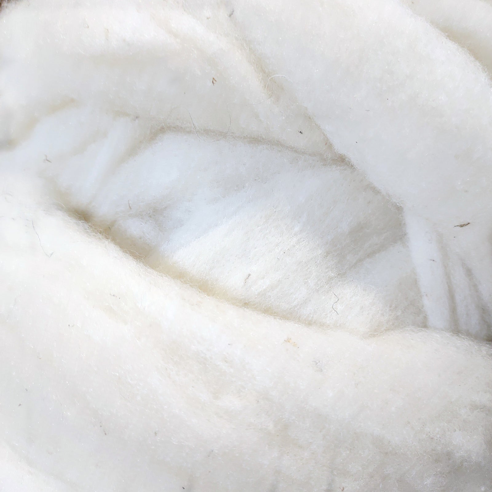 Hog Island Wool Roving