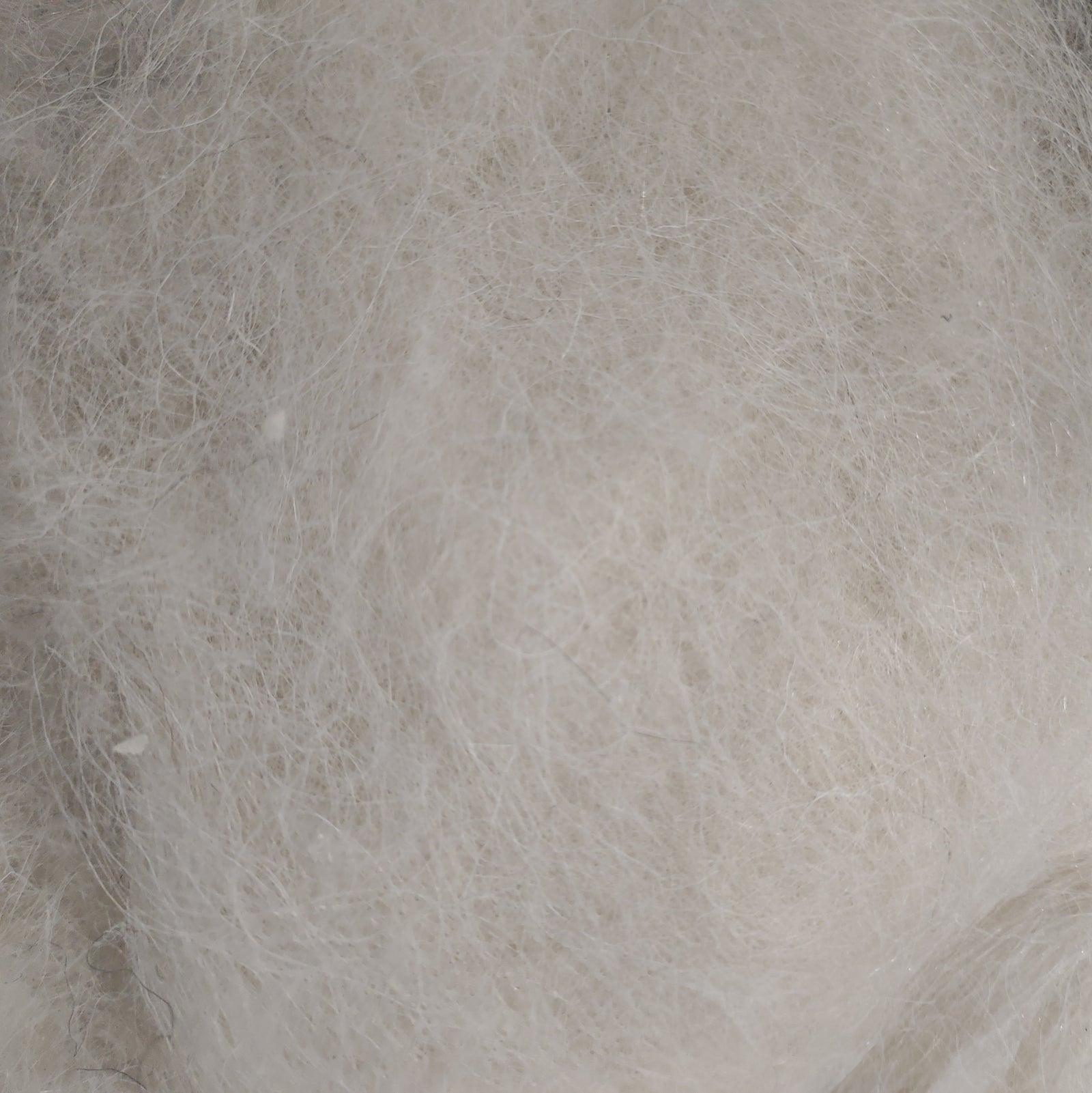 Carpathian Mountain Sheep Batts