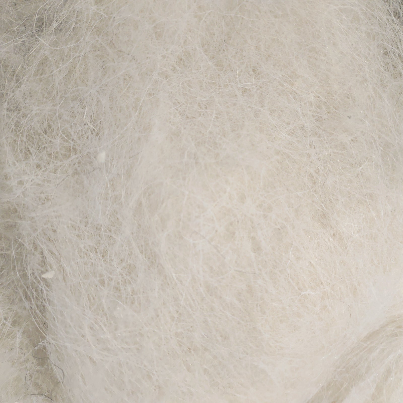 Carpathian Mountain Sheep Batts