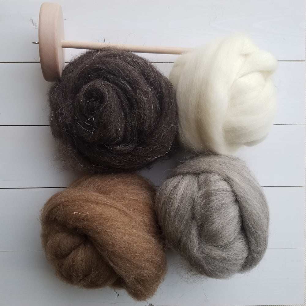Beginning Spinning Kit