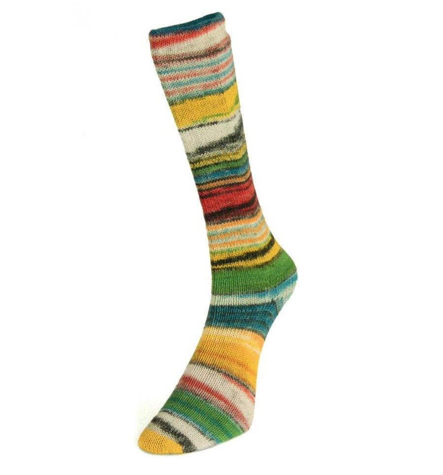 Laines du Nord Eclectic Sock