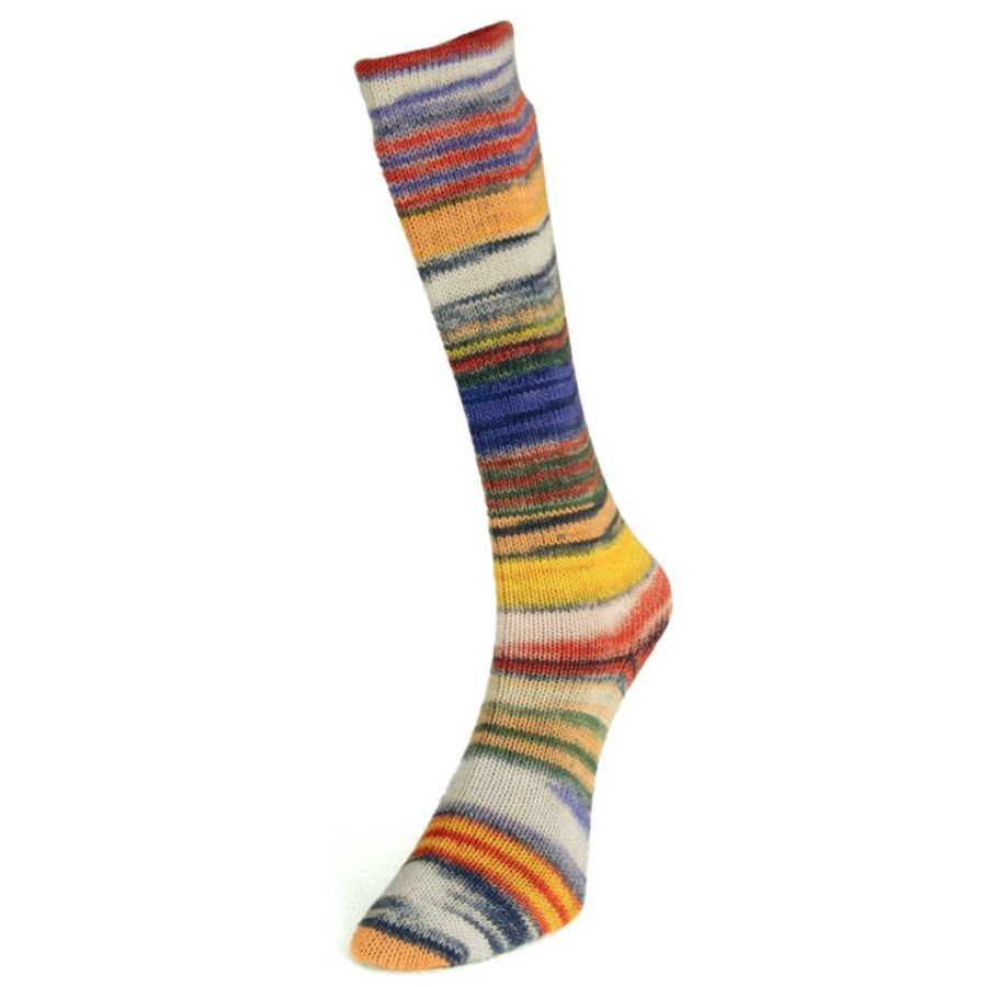 Laines du Nord Eclectic Sock