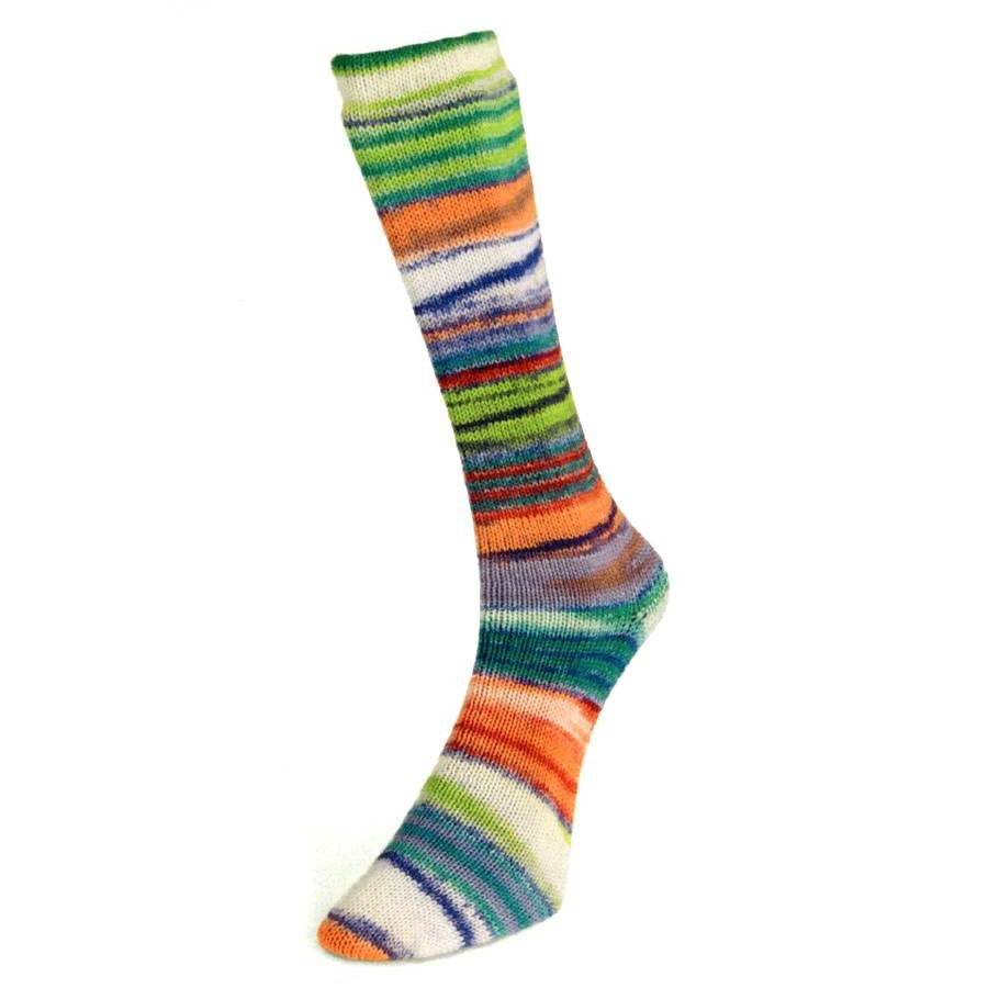 Laines du Nord Eclectic Sock