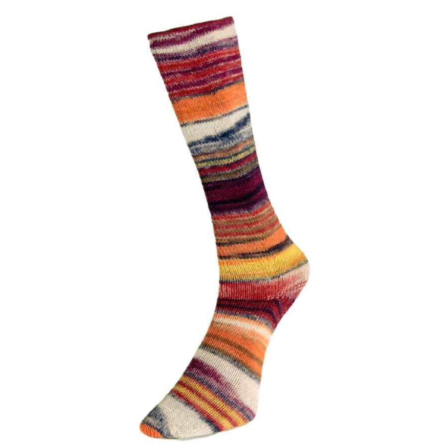 Laines du Nord Eclectic Sock