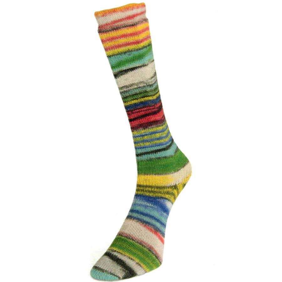 Laines du Nord Eclectic Sock