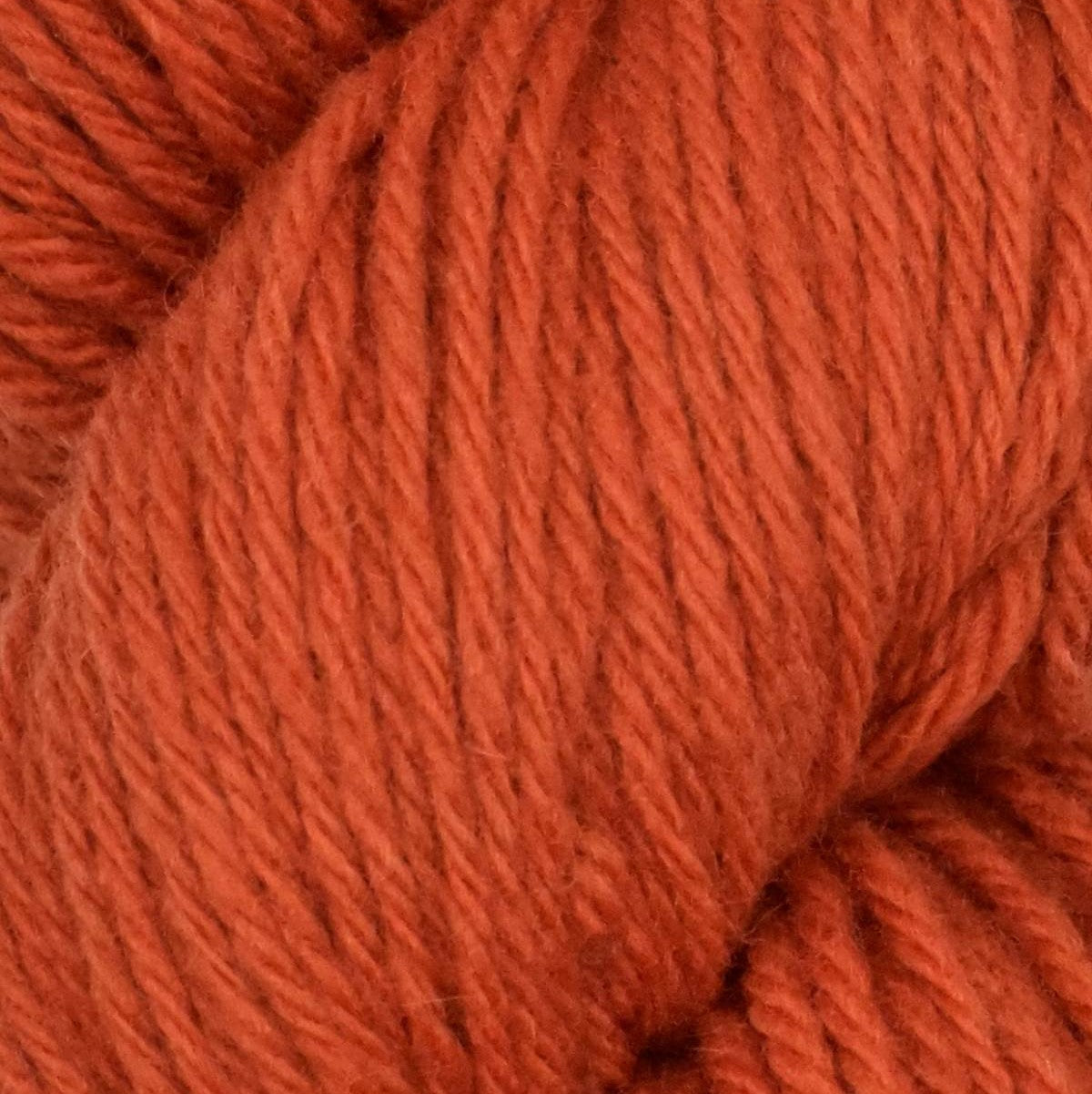 Santa Cruz Organic Merino