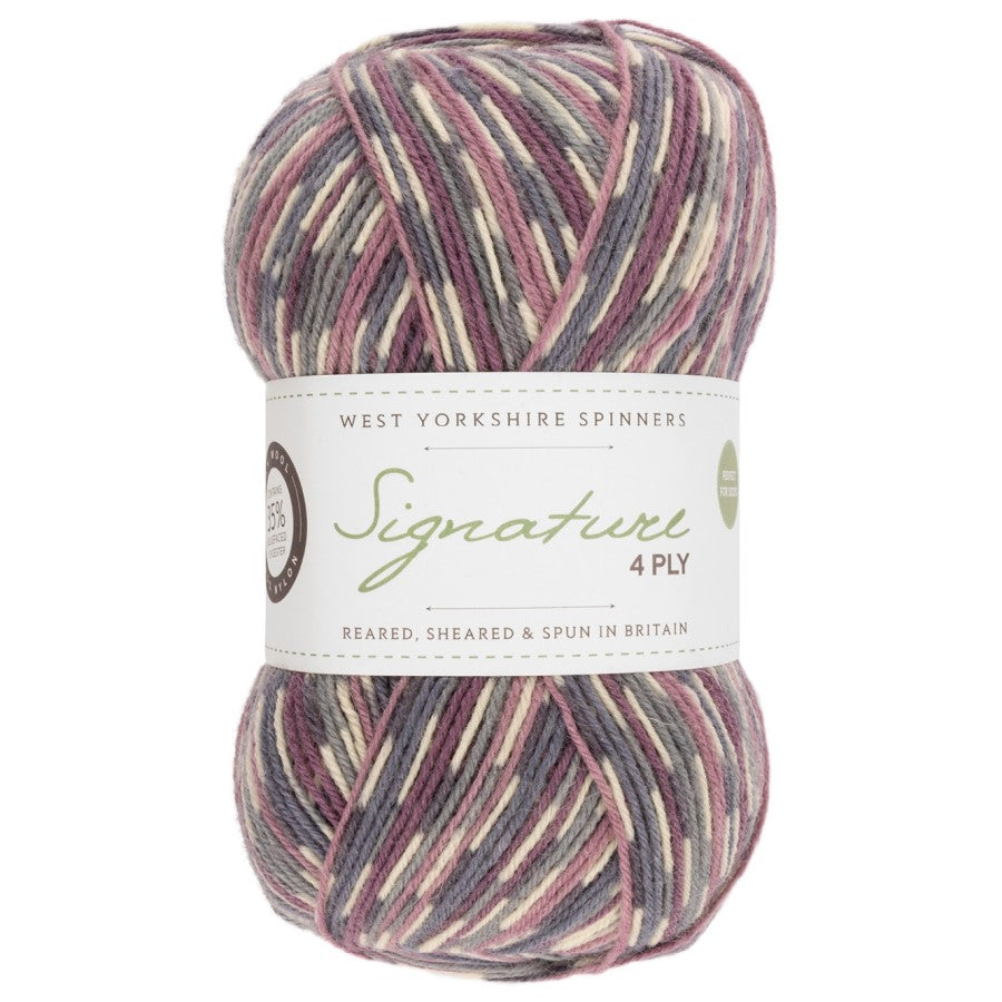 WYS Signature 4 ply Sock Yarn