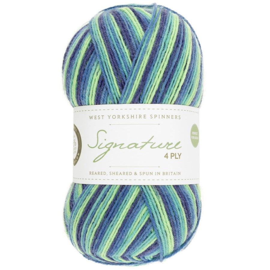 WYS Signature 4 ply Sock Yarn