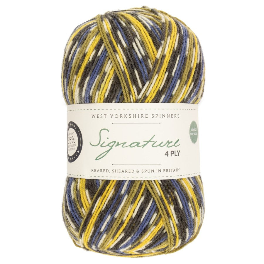 WYS Signature 4 ply Sock Yarn