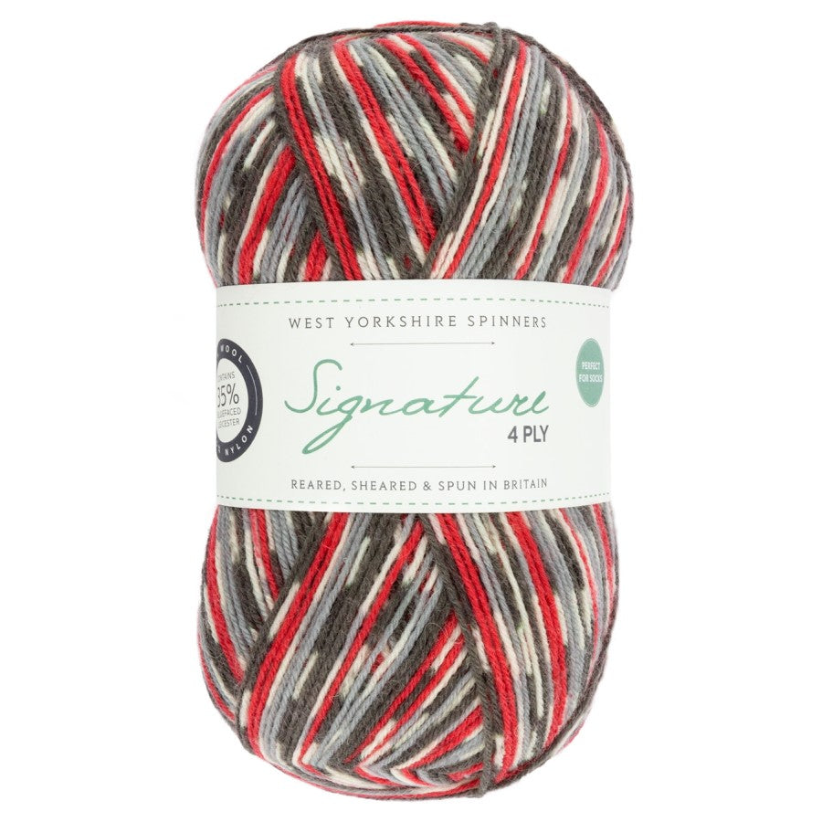 WYS Signature 4 ply Sock Yarn