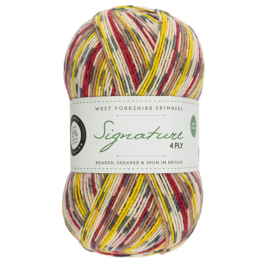 WYS Signature 4 ply Sock Yarn