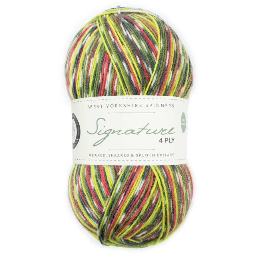 WYS Signature 4 ply Sock Yarn