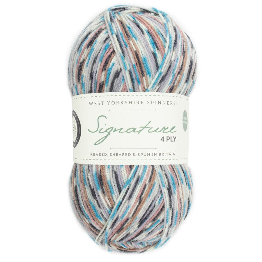 WYS Signature 4 ply Sock Yarn