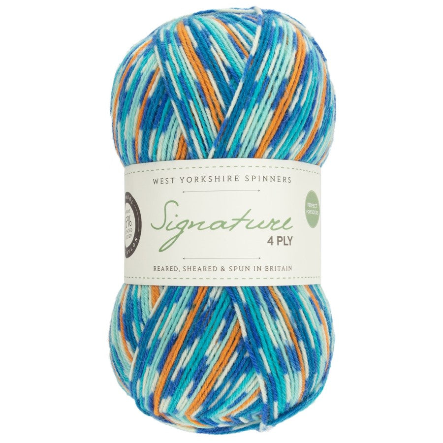 WYS Signature 4 ply Sock Yarn