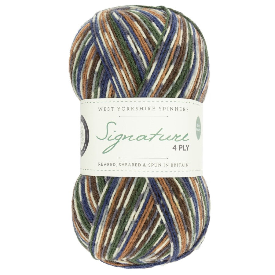 WYS Signature 4 ply Sock Yarn