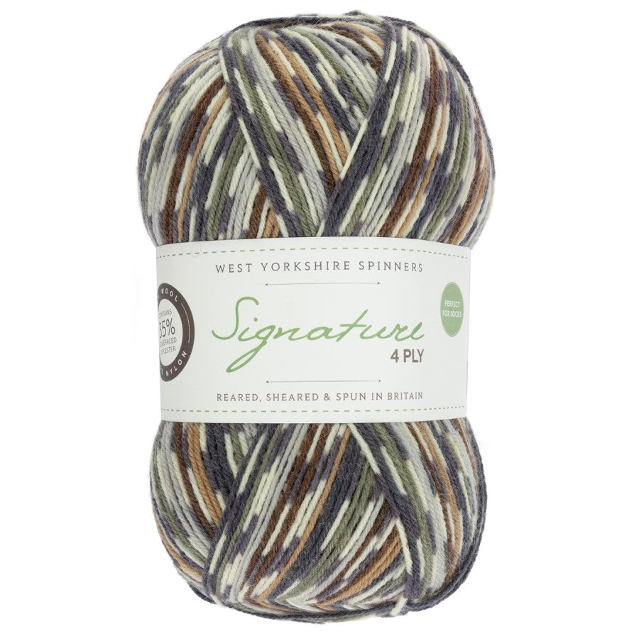 WYS Signature 4 ply Sock Yarn