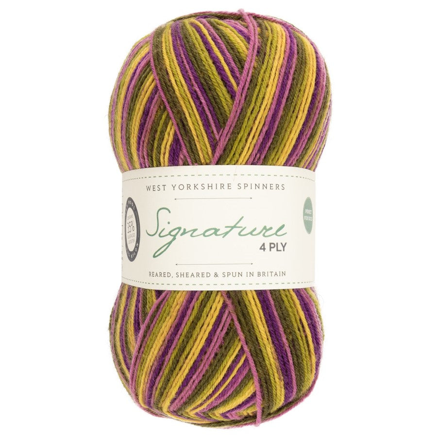 WYS Signature 4 ply Sock Yarn