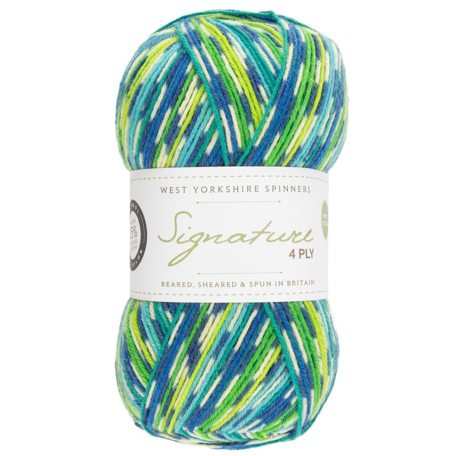 WYS Signature 4 ply Sock Yarn