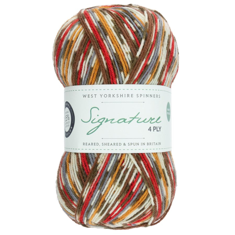 WYS Signature 4 ply Sock Yarn