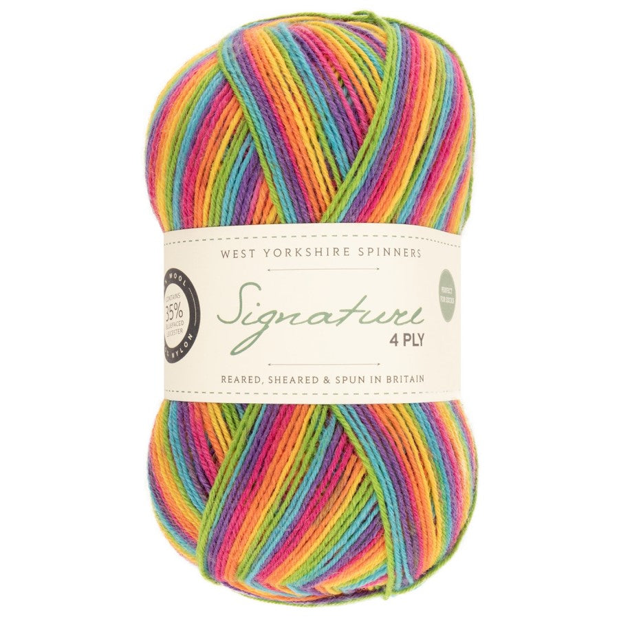 WYS Signature 4 ply Sock Yarn