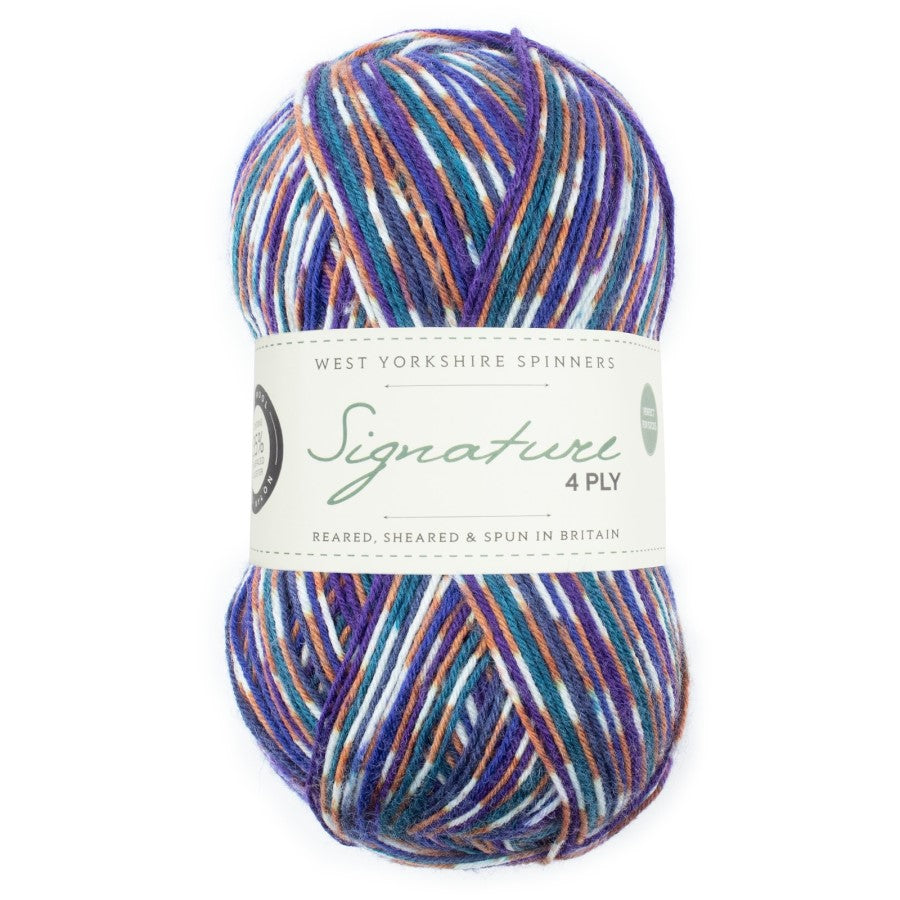 WYS Signature 4 ply Sock Yarn