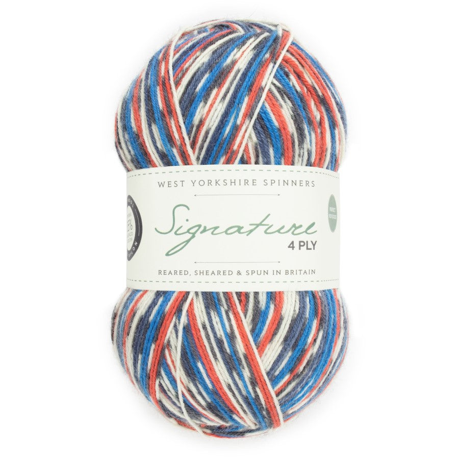 WYS Signature 4 ply Sock Yarn