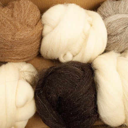 Single Breed Wool Sampler – Northwest Yarns