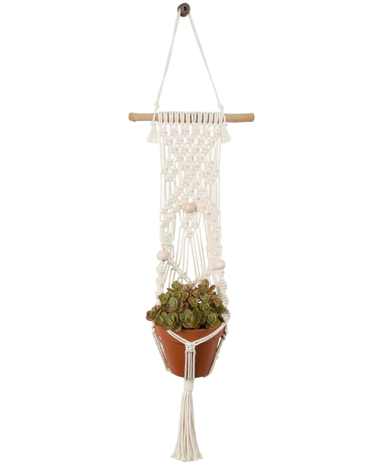 stick plant hanger Solid Oak Macrame Kits – Northwest Yarns